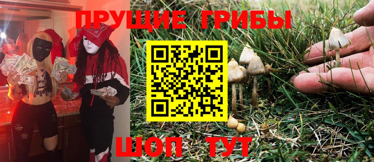 Псилоцибиновые грибы мицелий Гулькевичи